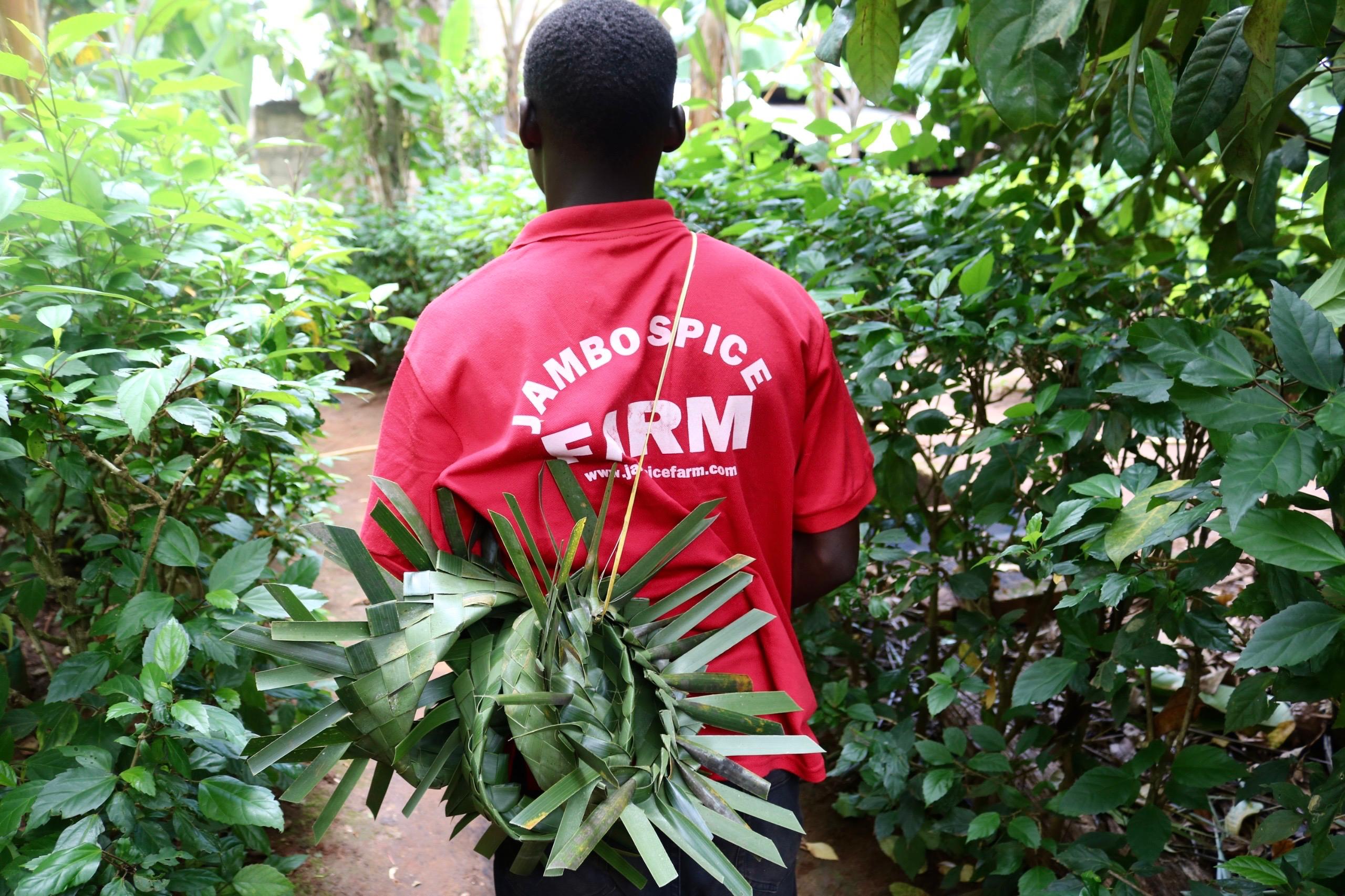 Spice Farm Experience